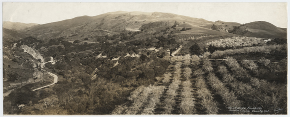 East Foothills, Santa Clara County, 1914 (A-326-61)