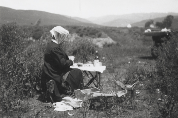 Picnicking woman, circa 1905 (2008-122-41)