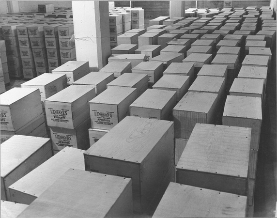 Packed fruit in storage, c. 1935 (2003-22-21-53)