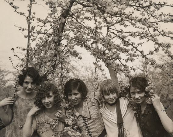 Group of young women with blossoming tree, circa 1925 (2009-11-1)